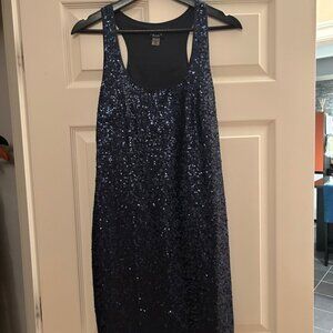 2b RYCH Lined Dark Blue Sheath Dress with Sequins Size 6
